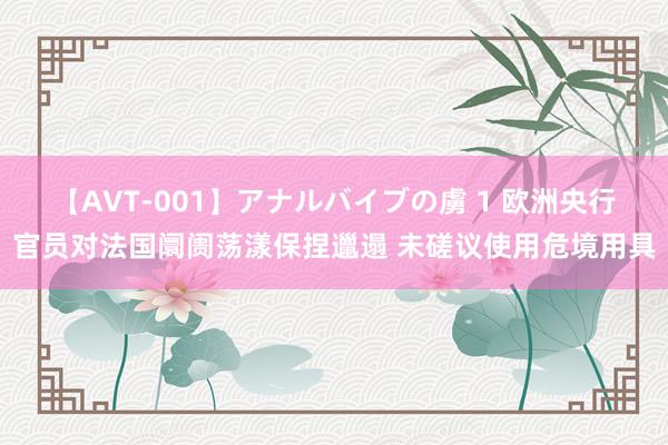 【AVT-001】アナルバイブの虜 1 欧洲央行官员对法国阛阓荡漾保捏邋遢 未磋议使用危境用具