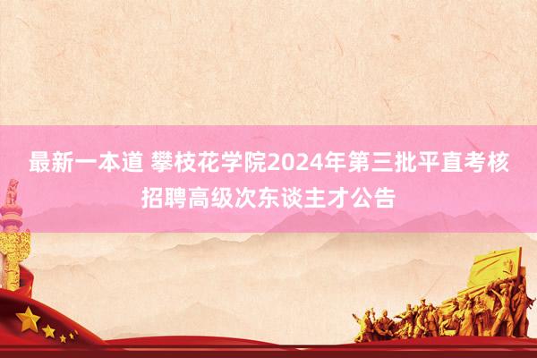 最新一本道 攀枝花学院2024年第三批平直考核招聘高级次东谈主才公告